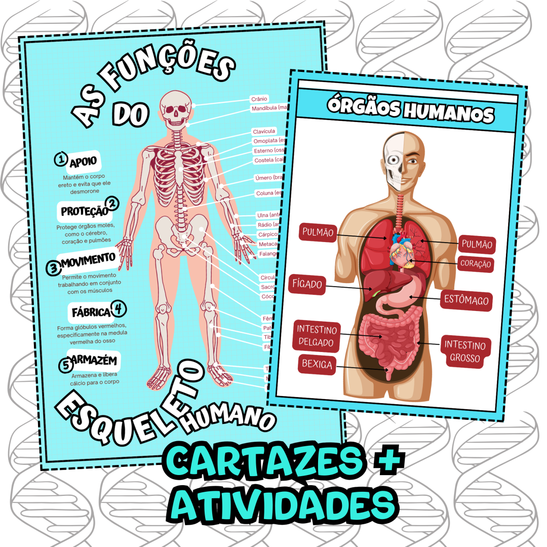 Corpo Humano: Kit Educativo: Cartazes e Atividades
