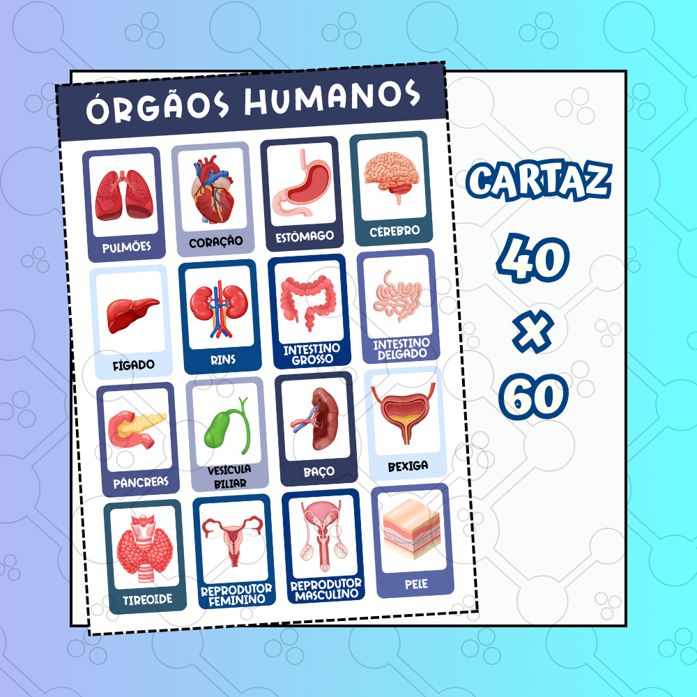 Órgãos do Corpo Humano - CARTAZ 40X60