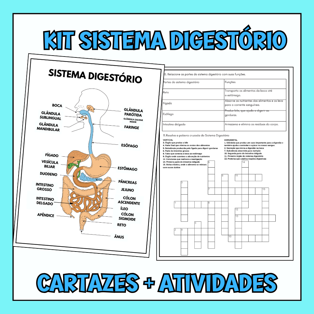 Sistema Digestório Interativo (Kit): Aprenda a Jornada dos Alimentos (PDF Pronto para Imprimir)
